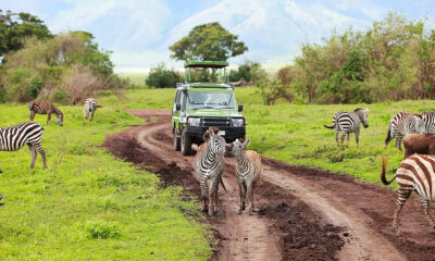 Put Africa on your travel list